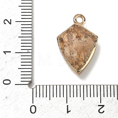 Natural Picture Jasper Pendants G-K422-01G-10-1