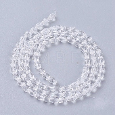 Faceted Glass Beads Strands X-GLAA-A036-F22-1