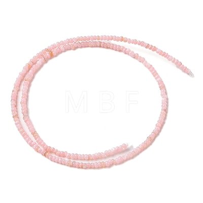 Natural Freshwater Shell Beads Strands SHEL-P017-01A-09-1