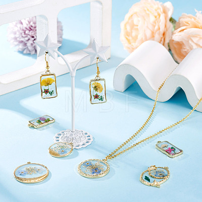 10Pcs 2 Styles Transparent Resin Pendants RESI-TA0005-61-1