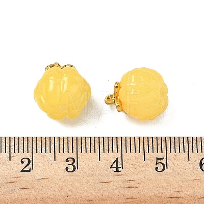 Glass Charms GLAA-P072-04G-09-1