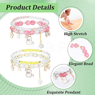 2Bags 2 Colors Plastic & Glass Beaded Stretch Bracelets BJEW-PA0001-09-1