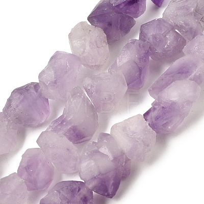 Natural Amethyst Beads Strands G-O173-010B-01-1