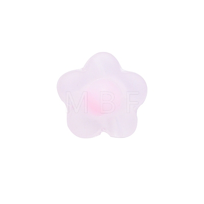 Frosted Resin Cabochons MRMJ-T073-14B-1