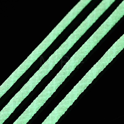 Luminous Polyester Braided Cords OCOR-T015-01C-1