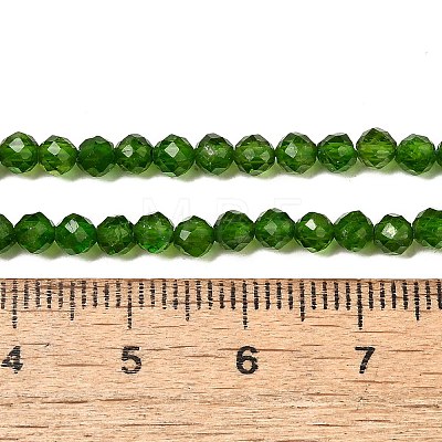 Natural Green Diopside Beads Strands G-NH0046-A01-02-1