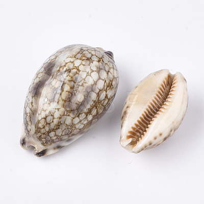 Cowrie Shell Beads X-SSHEL-S258-59A-1