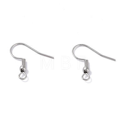 316 Surgical Stainless Steel Earring Hooks STAS-E009-1-1