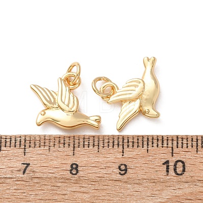 Brass Pendants KK-H297-06G-1