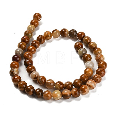 Natural Wood Lace Stone Beads Strands G-B128-A04-03-1