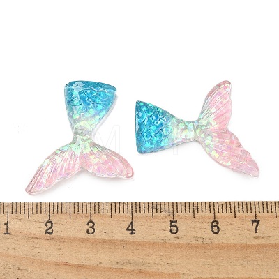 Resin Cabochons RESI-R456-02A-1