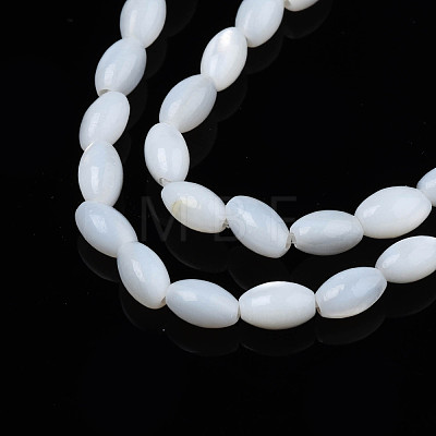 Natural Freshwater Shell Beads Strands SHEL-N003-25-A01-1