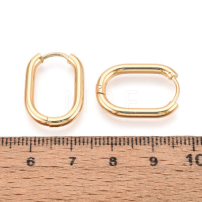 304 Stainless Steel Hoop Earrings STAS-T074-29G-1
