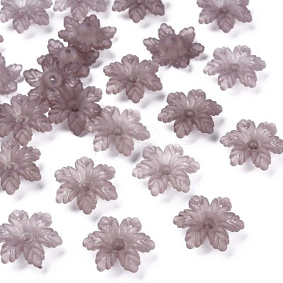 Transparent Acrylic Beads MACR-S373-117-D-1