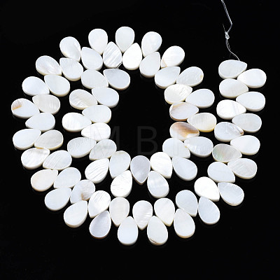 Natural Freshwater Shell Beads Strands SHEL-Q024-007-1