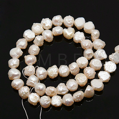 Natural Cultured Freshwater Pearl Beads Strands PEAR-N002-04-1