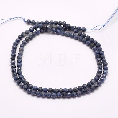 Natural Sapphire Beads Strands G-F509-18-3mm-1
