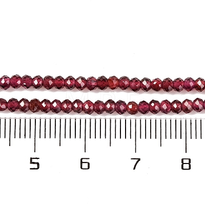 Natural Garnet Beads Strands G-F770-D02-02-1