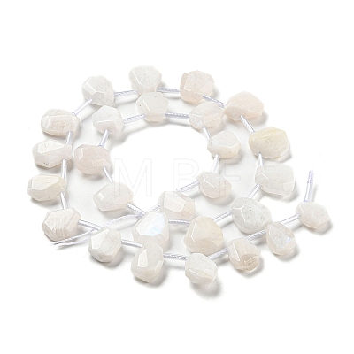 Natural Rainbow Moonstone Beads Strands G-Z040-A06-01-1