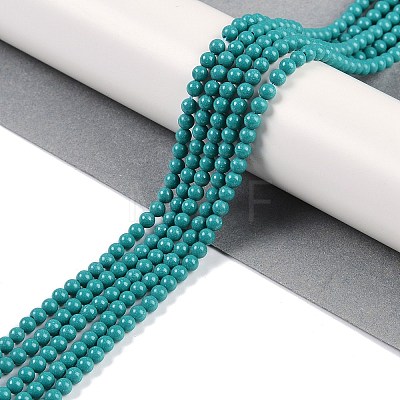 Synthetic Turquoise Beads Strands G-U004-02G-1