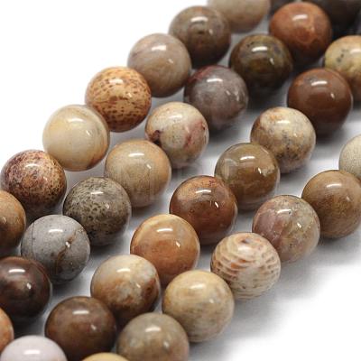Natural Fossil Coral Beads Strands G-G763-12-10mm-1