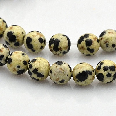 Round Natural Dalmatian Jasper Beads Strands G-N0120-23-8mm-1