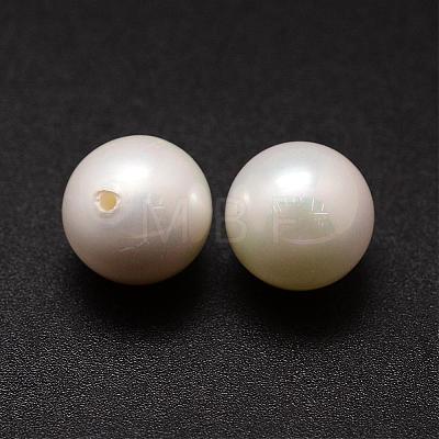 Shell Pearl Beads BSHE-L031-01-16mm-1