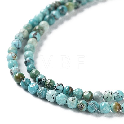 Natural HuBei Turquoise Beads Strands G-M411-A02-02-1