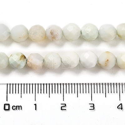 Natural Green Opal Beads Strands G-Z035-A02-04A-1