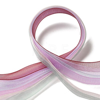 Polyester and Nylon Ribbon Sets DIY-Z029-01L-1