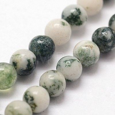 Natural Tree Agate Beads Strands G-N0192-01-2mm-1