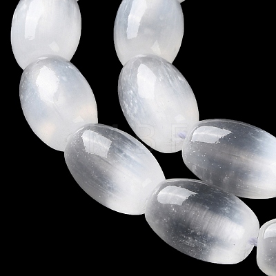 Macaron Color Natural Selenite Beads Strands G-B102-A01-09-1