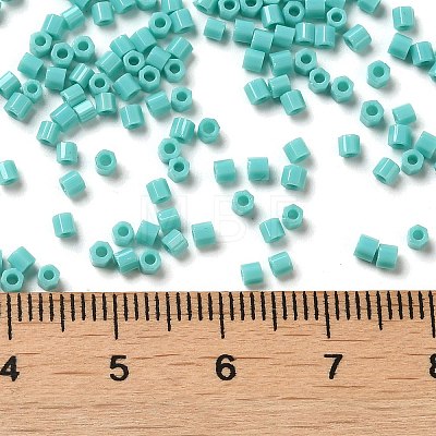 Opaque Glass Seed Beads SEED-S042-22B-04-1