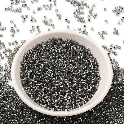 Glass Seed Beads X-SEED-S042-04B-31-1