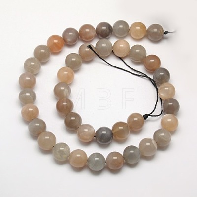 Natural Multi-Moonstone Beads Strands G-J157-12mm-06-1