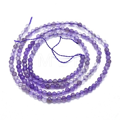 Natural Amethyst Beads Strands G-I289-01-1