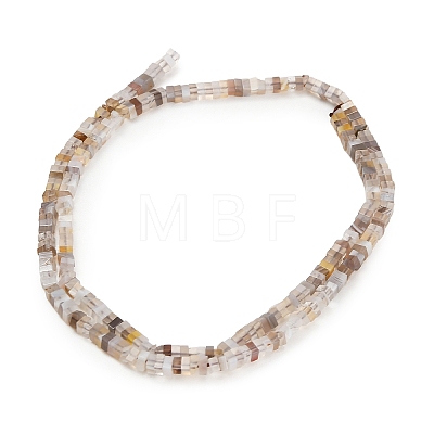 Natural Botswana Agate Beads Strands GG-CBA2498-C06-01-1