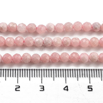 Natural Rhodonite Beads Strands G-G140-A20-03-1