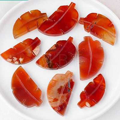 Natural Carnelian Home Display Decorations G-PW0004-31-1