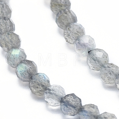Natural Labradorite Beads Strands G-D0003-E86-4MM-1