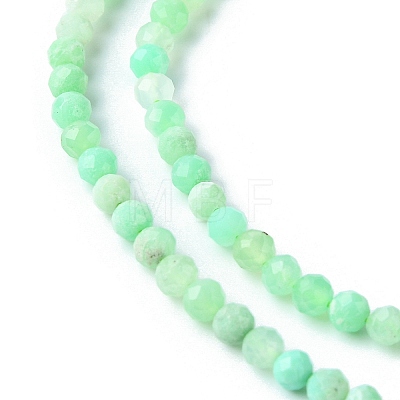 Natural Chrysoprase Beads Strands G-F748-X01-03A-1