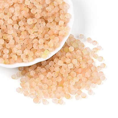 Frosted Glass Seed Beads SEED-N012-01H-1