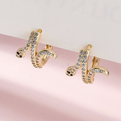 Brass Cubic Zirconia Hoop Earrings EJEW-Q014-39G-1