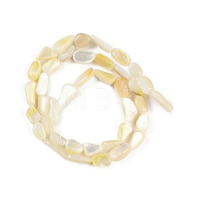 Natural Shell Pearl Beads Strands BSHE-H109-05-1