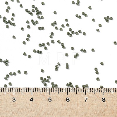 MIYUKI Round Rocailles Beads X-SEED-G009-RR2318-1