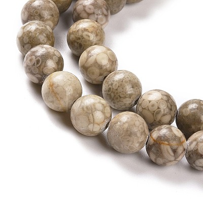Natural Maifanite/Maifan Stone Beads Strands G-I187-4mm-01-1