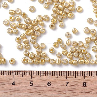 8/0 Glass Seed Beads X-SEED-A017-3mm-1107-1