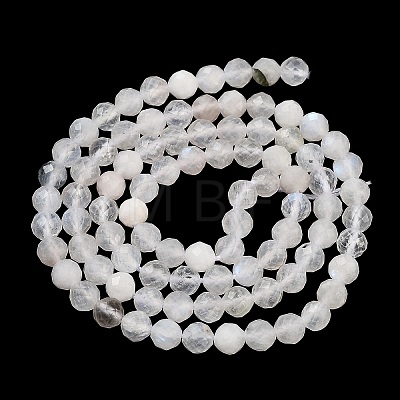 Natural Rainbow Moonstone Beads Strands G-P500-01C-01A-1