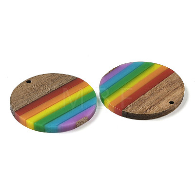 Pride Rainbow Theme Resin & Walnut Wood Pendants WOOD-K012-07B-1