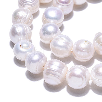 Natural Cultured Freshwater Pearl Beads Strands PEAR-N013-10D-1